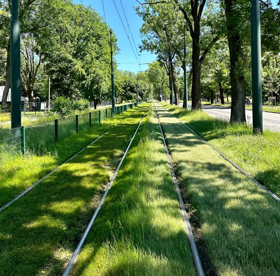 Poland Unfiltered: Murder Trees, Vodka, Salt Mines, and More