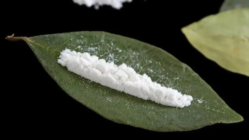 Cocaine & Culture: How Class, Race, and Ritual Shape Our Understanding of Drugs