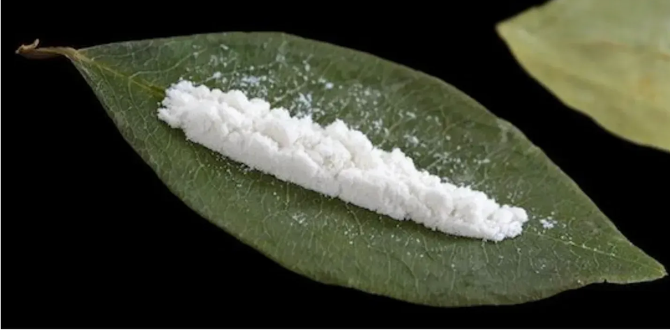 Cocaína y cultura: cómo la clase, la raza y el ritual moldean nuestra visión de las drogas